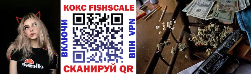 купить наркотики цена  Чердынь  COCAIN FishScale 