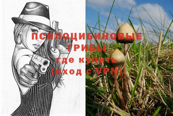 2c-b Балахна