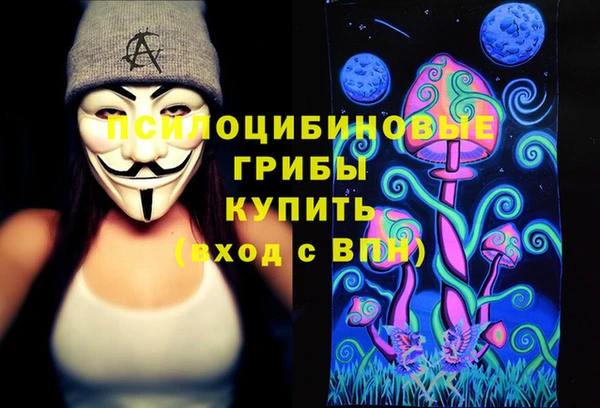 дживик Баксан