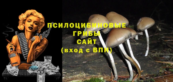 дживик Баксан